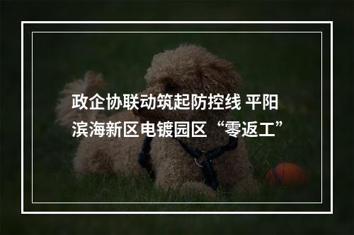 政企协联动筑起防控线 平阳滨海新区电镀园区“零返工”