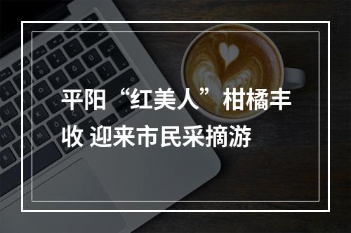 平阳“红美人”柑橘丰收 迎来市民采摘游
