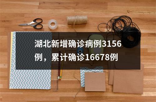 湖北新增确诊病例3156例，累计确诊16678例