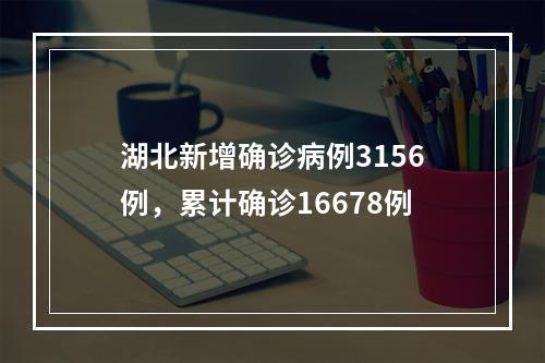 湖北新增确诊病例3156例，累计确诊16678例