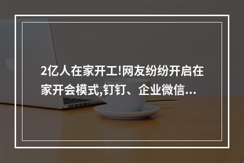 2亿人在家开工!网友纷纷开启在家开会模式,钉钉、企业微信集体“崩溃”