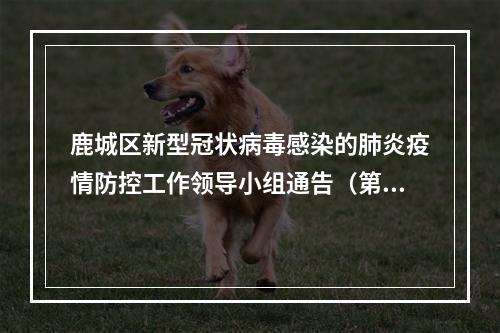 鹿城区新型冠状病毒感染的肺炎疫情防控工作领导小组通告（第7号）