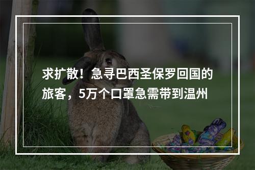 求扩散！急寻巴西圣保罗回国的旅客，5万个口罩急需带到温州