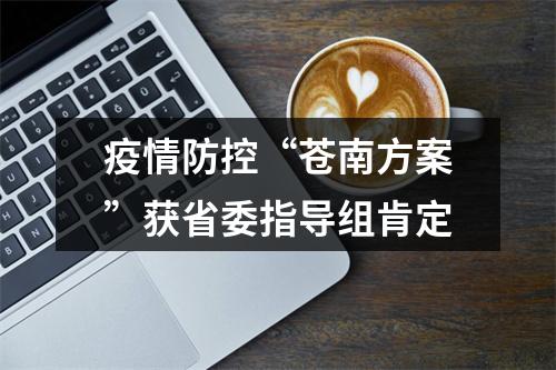 疫情防控“苍南方案”获省委指导组肯定