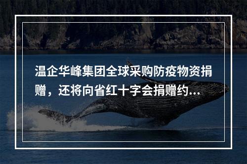 温企华峰集团全球采购防疫物资捐赠，还将向省红十字会捐赠约450万只口罩耳 ...