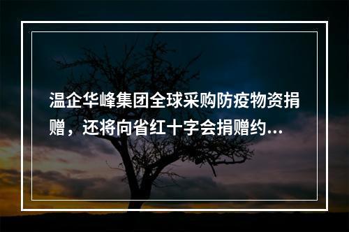温企华峰集团全球采购防疫物资捐赠，还将向省红十字会捐赠约450万只口罩耳 ...