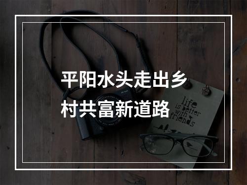 平阳水头走出乡村共富新道路