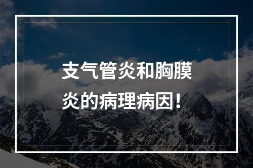 支气管炎和胸膜炎的病理病因！