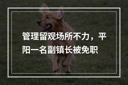 管理留观场所不力，平阳一名副镇长被免职