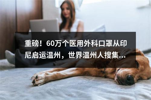 重磅！60万个医用外科口罩从印尼启运温州，世界温州人搜集医护物资支援家乡