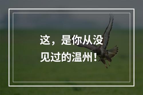 这，是你从没见过的温州！