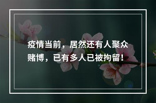 疫情当前，居然还有人聚众赌博，已有多人已被拘留！