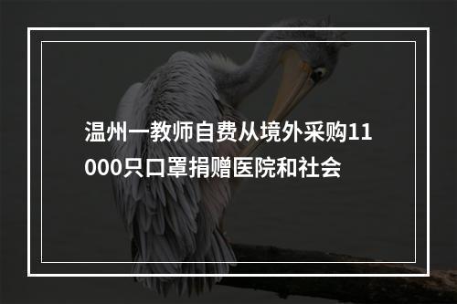 温州一教师自费从境外采购11000只口罩捐赠医院和社会