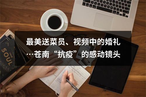 最美送菜员、视频中的婚礼…苍南“抗疫”的感动镜头