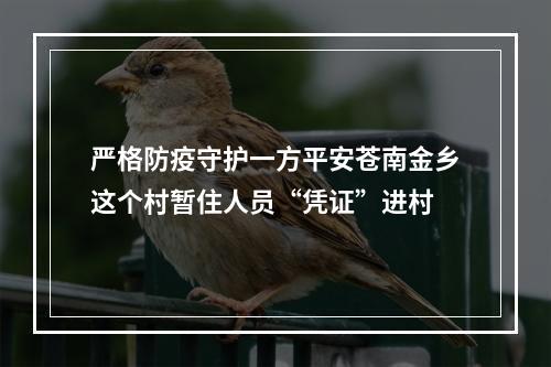 严格防疫守护一方平安苍南金乡这个村暂住人员“凭证”进村
