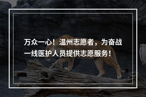 万众一心！温州志愿者，为奋战一线医护人员提供志愿服务！