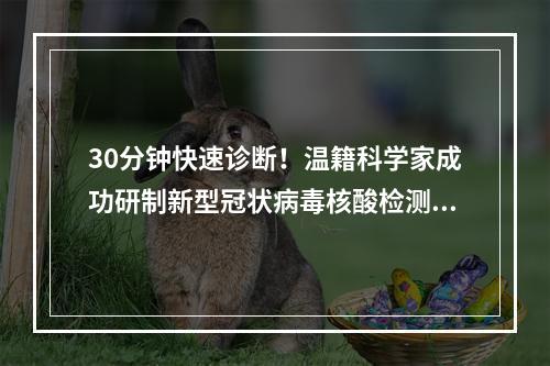 30分钟快速诊断！温籍科学家成功研制新型冠状病毒核酸检测试剂盒