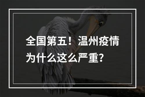 全国第五！温州疫情为什么这么严重？