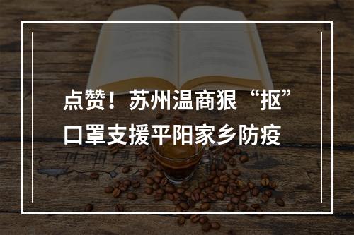 点赞！苏州温商狠“抠”口罩支援平阳家乡防疫