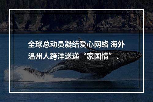 全球总动员凝结爱心网络 海外温州人跨洋送递“家国情”、