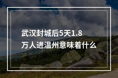 武汉封城后5天1.8万人进温州意味着什么