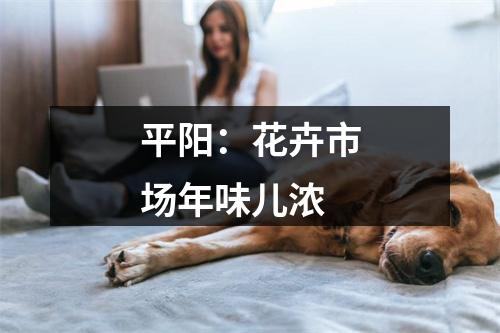 平阳：花卉市场年味儿浓