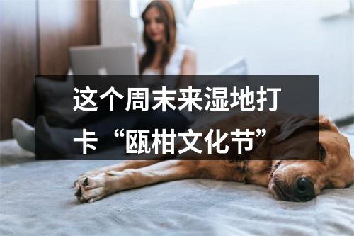 这个周末来湿地打卡“瓯柑文化节”