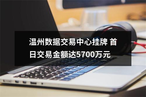 温州数据交易中心挂牌 首日交易金额达5700万元