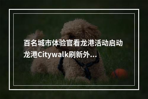 百名城市体验官看龙港活动启动 龙港Citywalk刷新外国友人朋友圈