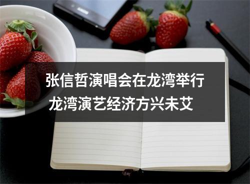 张信哲演唱会在龙湾举行 龙湾演艺经济方兴未艾