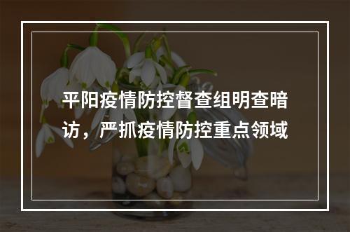 平阳疫情防控督查组明查暗访，严抓疫情防控重点领域