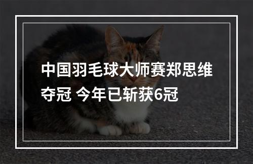 中国羽毛球大师赛郑思维夺冠 今年已斩获6冠