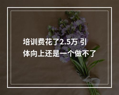 培训费花了2.5万 引体向上还是一个做不了