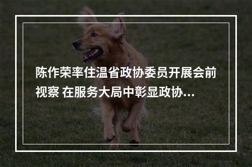 陈作荣率住温省政协委员开展会前视察 在服务大局中彰显政协作为