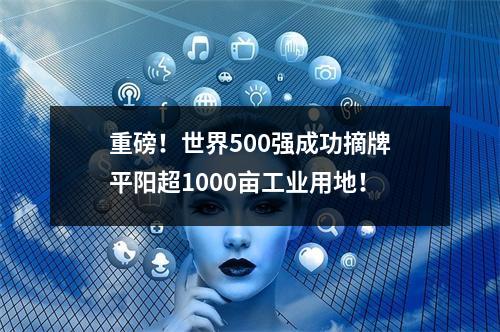 重磅！世界500强成功摘牌平阳超1000亩工业用地！