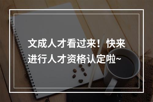 文成人才看过来！快来进行人才资格认定啦~