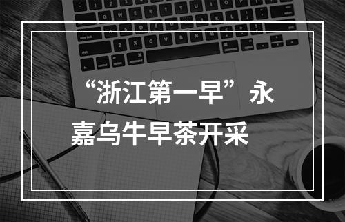 “浙江第一早”永嘉乌牛早茶开采