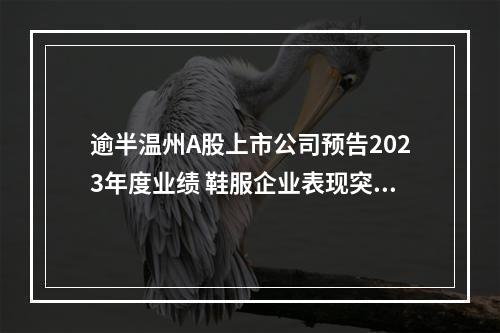 逾半温州A股上市公司预告2023年度业绩 鞋服企业表现突出