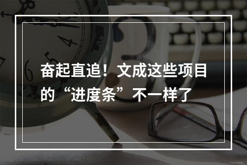 奋起直追！文成这些项目的“进度条”不一样了