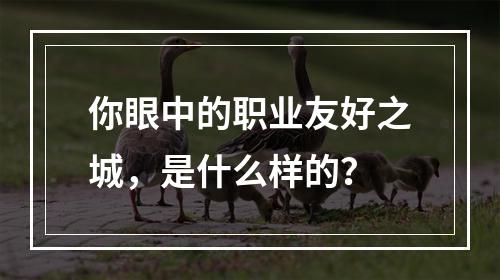 你眼中的职业友好之城，是什么样的？