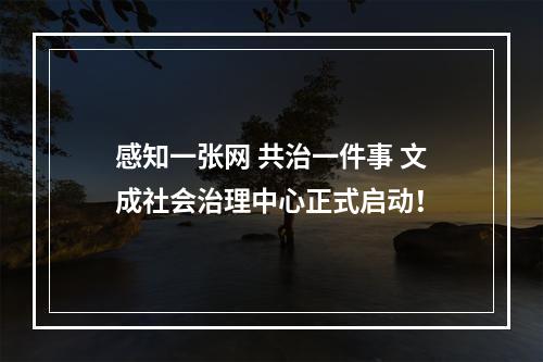 感知一张网 共治一件事 文成社会治理中心正式启动！