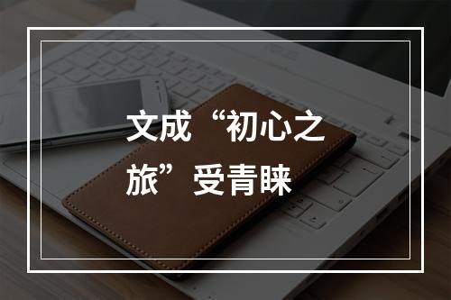文成“初心之旅”受青睐