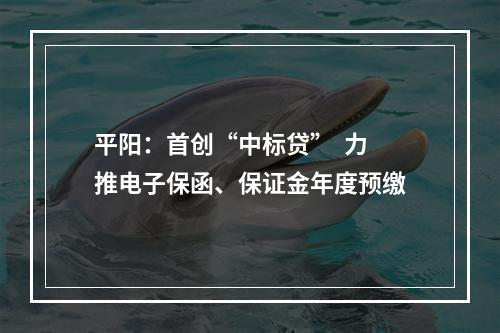 平阳：首创“中标贷”  力推电子保函、保证金年度预缴