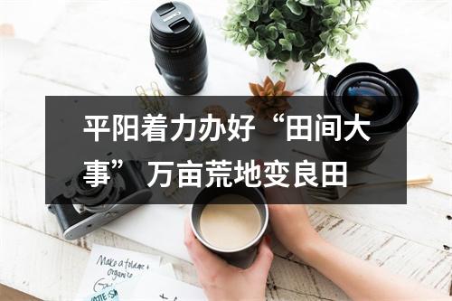 平阳着力办好“田间大事” 万亩荒地变良田
