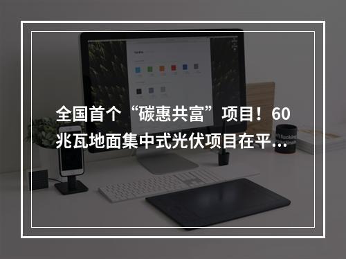全国首个“碳惠共富”项目！60兆瓦地面集中式光伏项目在平阳落地