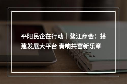 平阳民企在行动｜鳌江商会：搭建发展大平台 奏响共富新乐章