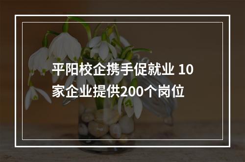 平阳校企携手促就业 10家企业提供200个岗位