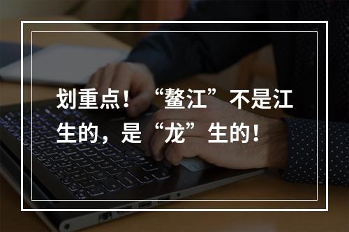 划重点！“鳌江”不是江生的，是“龙”生的！