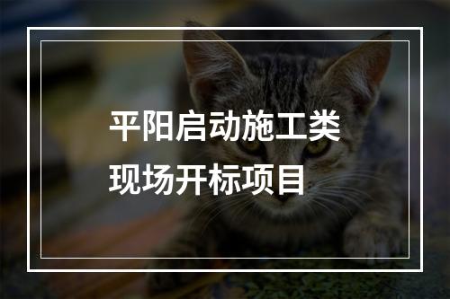 平阳启动施工类现场开标项目