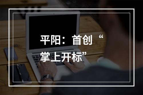 平阳：首创“掌上开标”